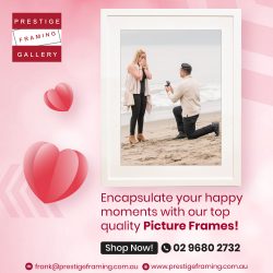Prestige Framing Gallery – Your Ultimate Destination for Top Quality Picture Frames