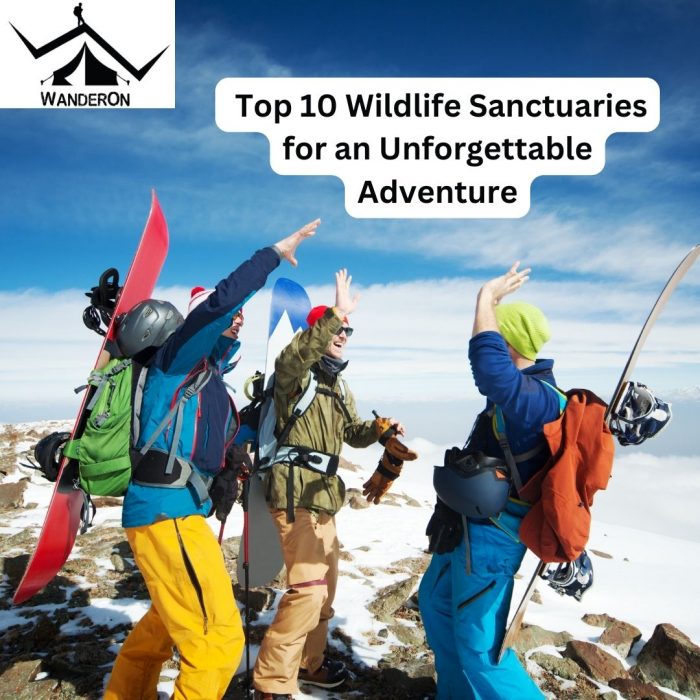 Top 10 Wildlife Sanctuaries for an Unforgettable Adventure