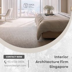 Transform Spaces With Interior Architecture Firm in Singapore