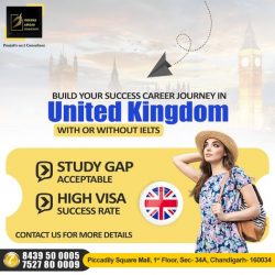 Freebird Abroad: Chandigarh’s Top UK Study Visa Consultant
