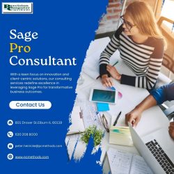 Unleashing Efficiency: PC Methods for Optimal Sage Pro Consulting