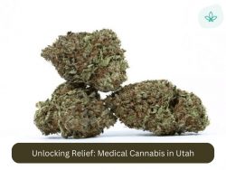 Unlocking Relief: Medical Cannabis in Utah | Your Guide to Access and Benefits