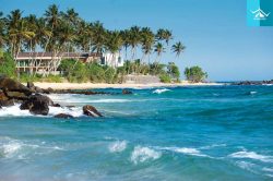 Dreamy Honeymoon Destinations: Explore Sri Lanka