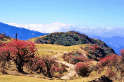 Sandakphu Tour Package by Land Rover