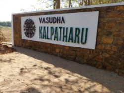Tranquil Oasis: Half Acre Land for Sale in Bangalore at Vasudha Kalpataru