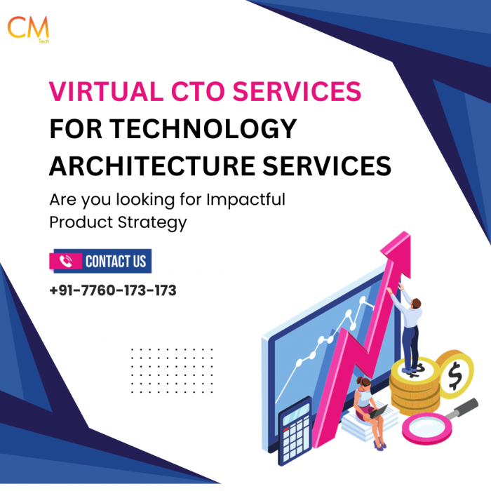 Virtual CTO Consulting Services on Demand