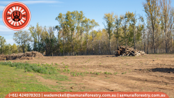 Contact for Professional Land Clearing Services NSW – Samurai Forestry at Your Service