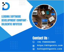 Leading Software Development Company in Punjab – Diligentic Infotech