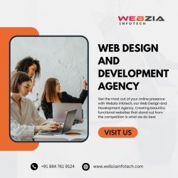 Top Web Design And Development Agency – Webzia Infotech