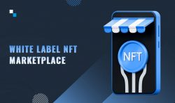 Artistry Unleashed: Embrace the Canvas of White Label NFT Marketplace with Antier