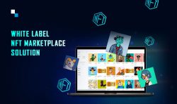 Unlock Potential with White Label NFT Marketplace Solution