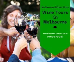 Wine Tours in Melbourne