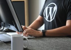 WordPress Website Design Guide: Things To Know Before Creating WordPress Websites | SFWPExperts