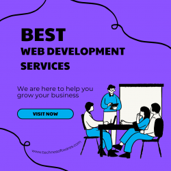 Professional Web Development Services According to Your Needs