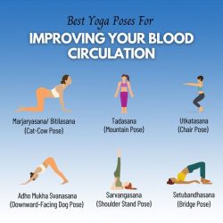 10 Yoga Poses For Better Blood Circulation