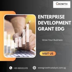 Your Roadmap to Success with Enterprise Development Grant EDG