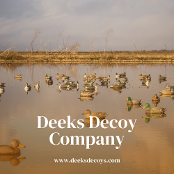 Dozen Duck Decoys
