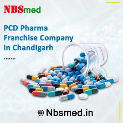 Pioneering Pharmaceutical Excellence: NBSmed, the Premier Pharma PCD Company in Chandigarh”