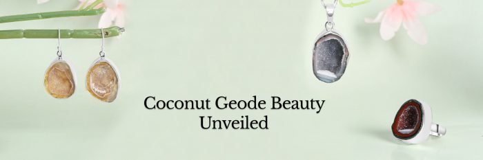 Coconut Geode Charms: Exploring Nature's Cracked Coconut