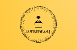 Expert Insights: Top Tips for Leveraging Exam Dumps Planet Successfully