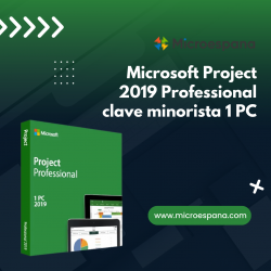 Windows 10 Pro