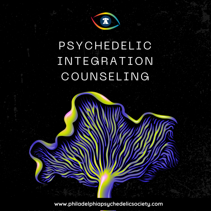 Psychedelic Societies
