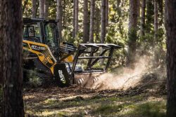 Commercial Land Clearing Services in Panama City, Florida