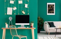 Accessories for Home Office