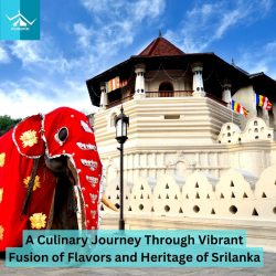 Culinary Journey Through Vibrant Fusion of Flavors and Heritage of Sri Lanka