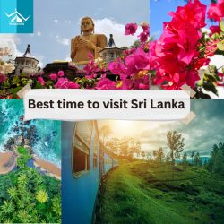 The Ultimate Traveler’s Guide to the Best Time to Visit Sri Lanka