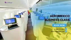 Aeromexico Business Class | Trippy Flight