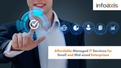Affordable Managed IT Services for Small and Mid-sized Enterprises