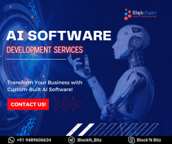 Looking for a Reliable Provider of Custom AI Software Development Services?