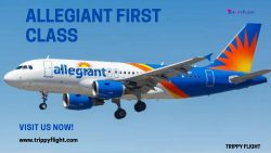 Allegiant First Class | Trippy Flight