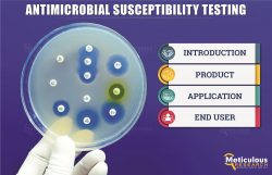 Antimicrobial Susceptibility: Reference Range, Interpretation, Collection and Panels