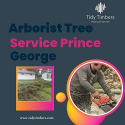 Arborist Tree Service Prince George