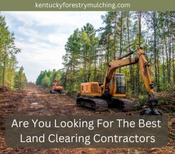 Are You Looking For The Best Land Clearing Contractors in Kentucky?
