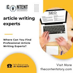 Where Can You Find Professional Article Writing Experts?