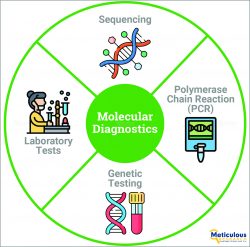 Asia-Pacific Molecular Diagnostics Market : A Comprehensive Analysis by Meticulous Research