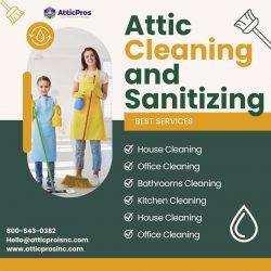 Professional Cleaning and Sanitizing Solutions