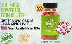 Makers CBD Gummies:- Benefits, Offer, and Get up to 50% Extra Discount