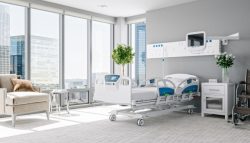Enhancing Healthcare Efficiency: The Role of Hospital Management Systems for Large Hospitals