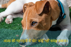 Sad shayri in Hindi