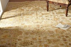 Beautiful Carpet For Living Room