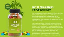 Demystifying the Science: How Bloom CBD Gummies Work in Your Body