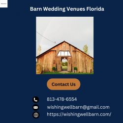 Beneath the Florida Sky: Rustic Charm at Barn Wedding Venues