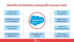 Benefits of Salesforce NPSP