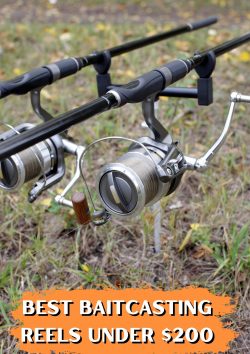 Upgrade Your Gear with the Best Baitcasting Reels Under $200 at Fishinges