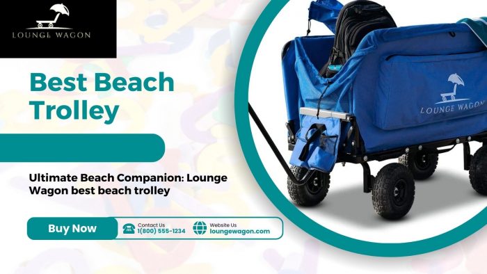 Ultimate Beach Companion: Lounge Wagon best beach trolley