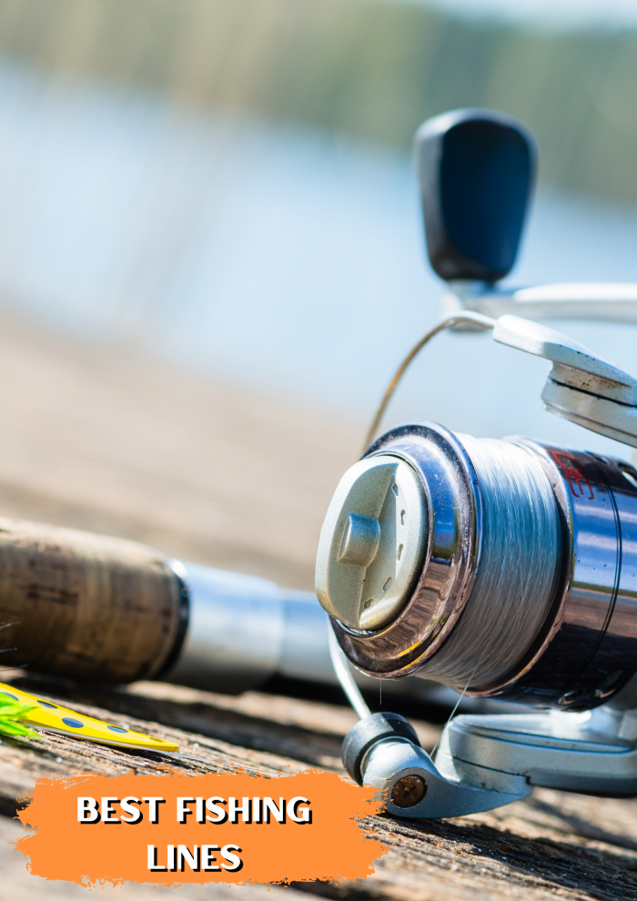 Reel in Success with the Best Fishing Lines at Fishinges